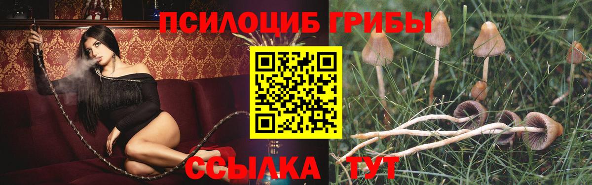 Звенигород  Псилоцибиновые грибы мицелий  Галлюциногенные грибы Psilocybe  Вход с VPN 
